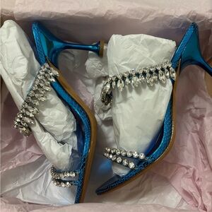 Elegant Alexandre Birman Heels